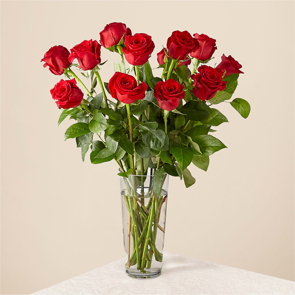 Long Stem Red Rose Bouquet – As Seasons Change Down South, Foley AL