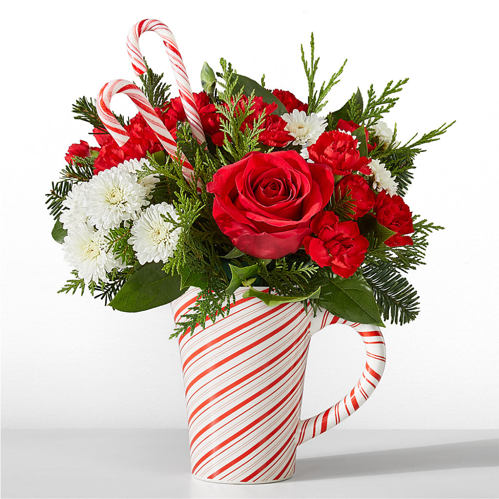 Peppermint Swirl Mug – As Seasons Change Down South, Foley AL
