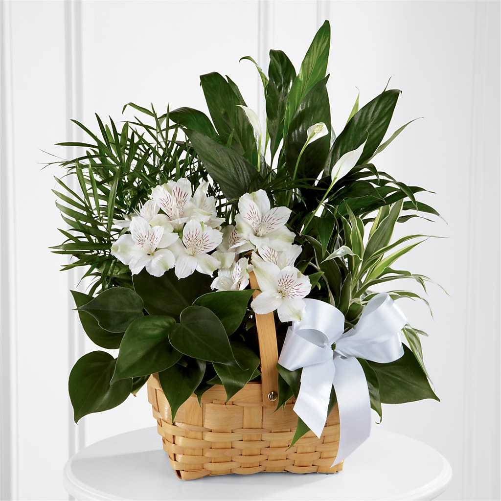 Peace & Serenity Dishgarden – As Seasons Change Down South, Foley AL