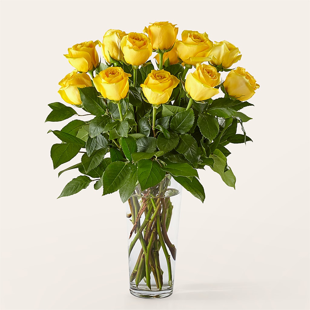 Long Stem Yellow Rose Bouquet – As Seasons Change Down South, Foley AL