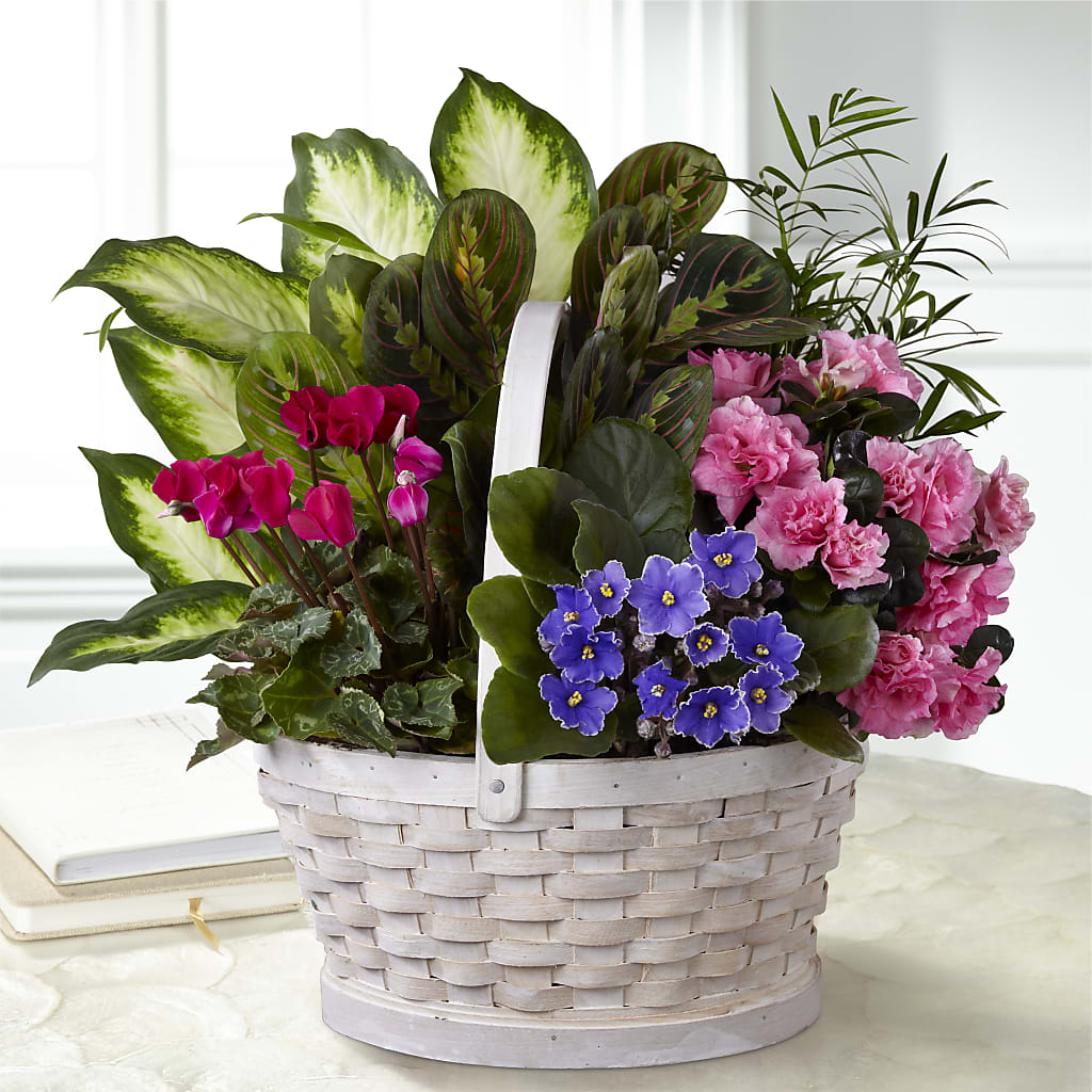 Peaceful Garden Planter – As Seasons Change Down South, Foley AL