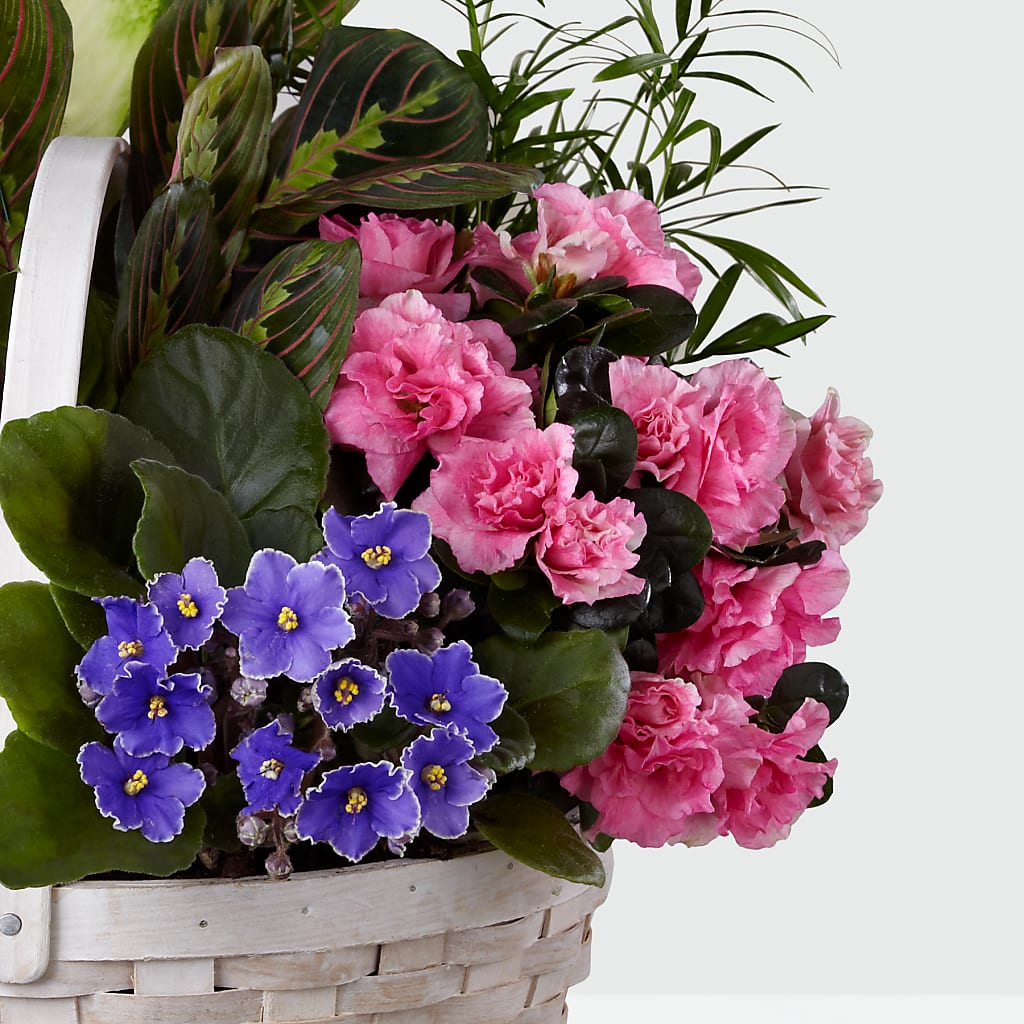 Peaceful Garden Planter – As Seasons Change Down South, Foley AL