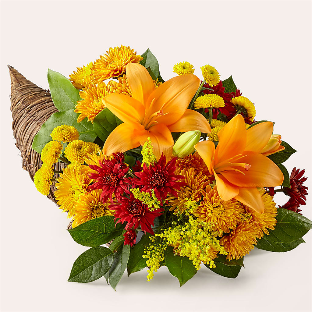 Feast of Color Cornucopia – As Seasons Change Down South, Foley AL