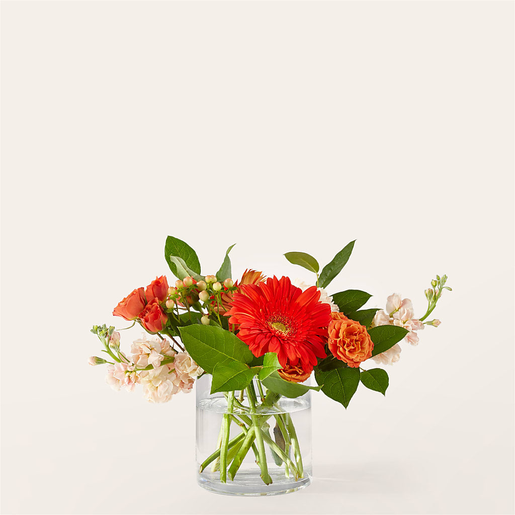 Paloma Please Bouquet – As Seasons Change Down South, Foley AL