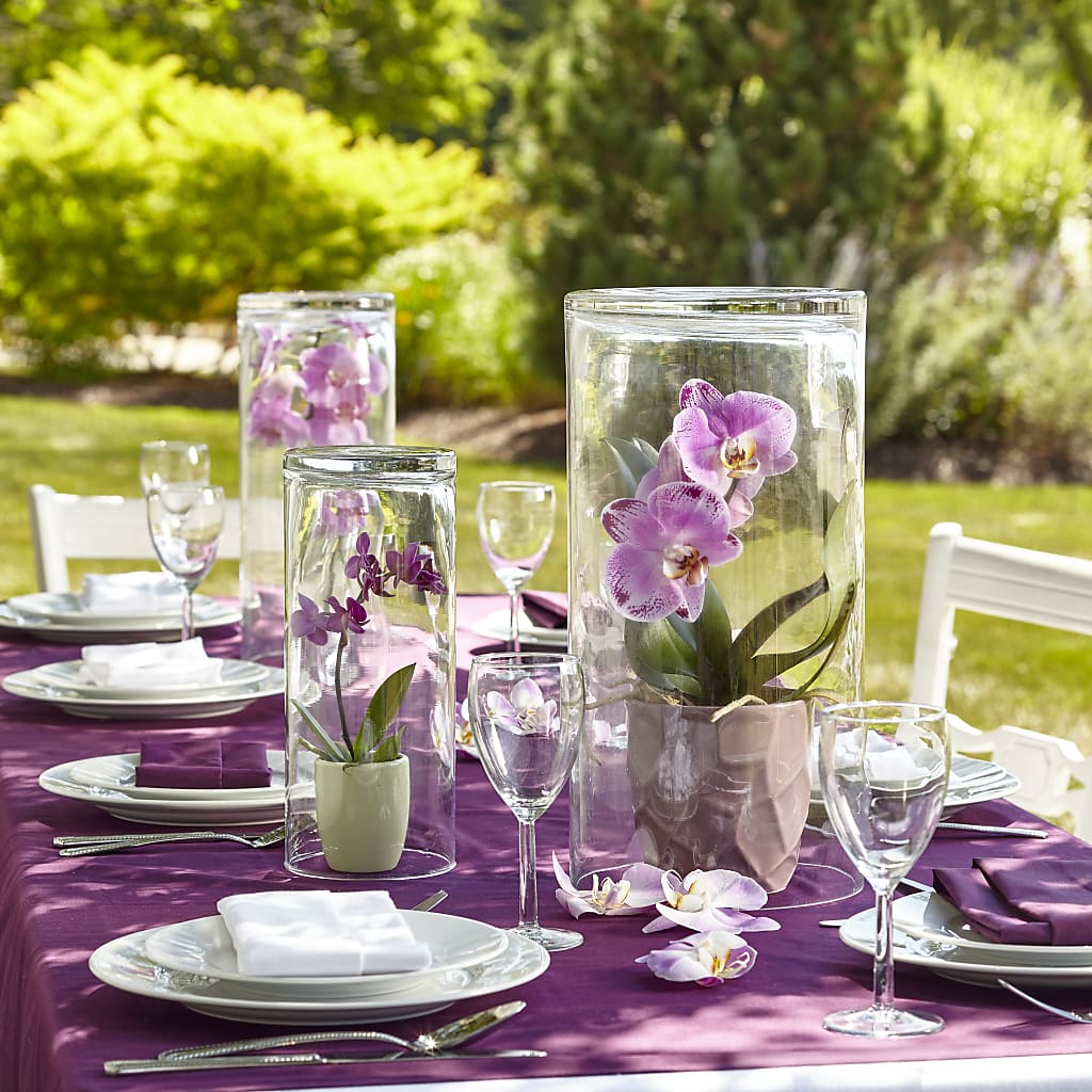 Dramatic Garden Centerpiece – As Seasons Change Down South, Foley AL