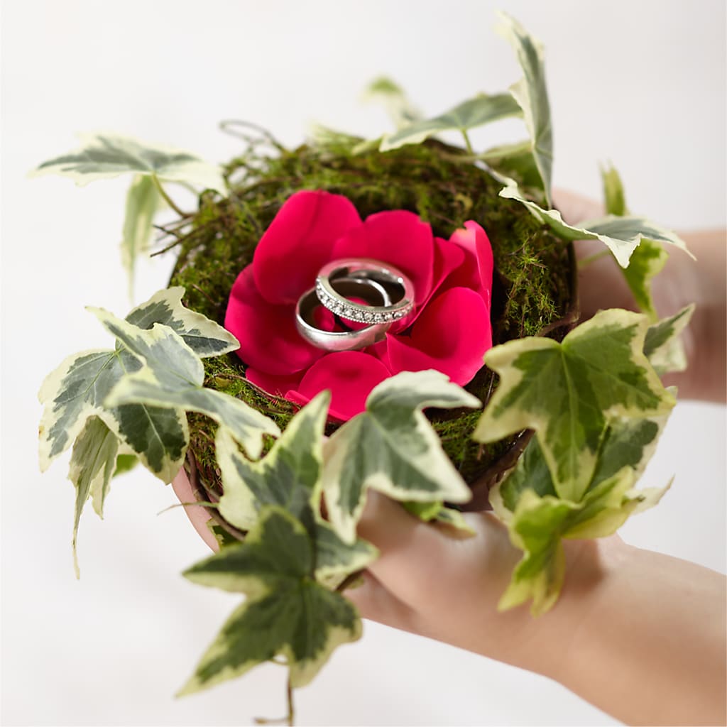 Lila Rose Ring Nest – As Seasons Change Down South, Foley AL
