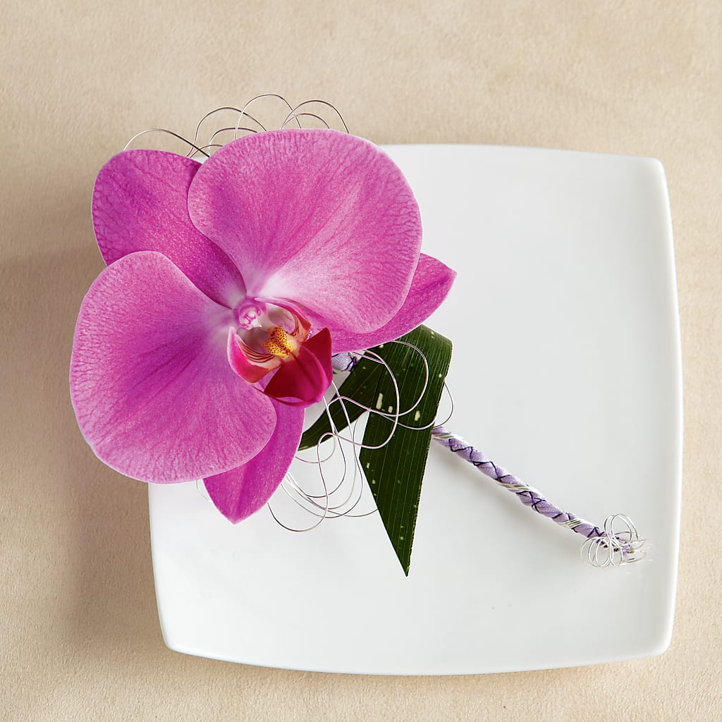 Glorious Boutonniere – As Seasons Change Down South, Foley AL