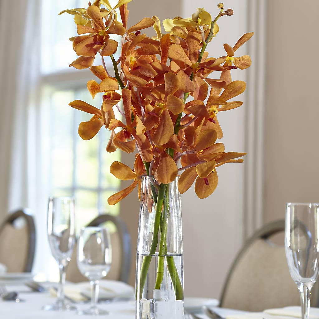 Orange Mokara Bud Vase – As Seasons Change Down South, Foley AL
