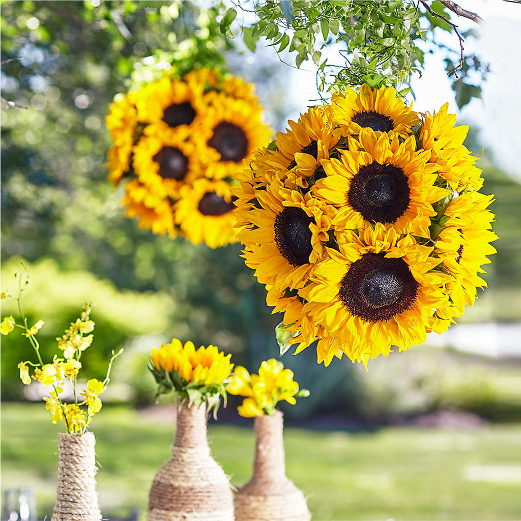 Sublime Garden Hanging Arrangement – As Seasons Change Down South, Foley AL