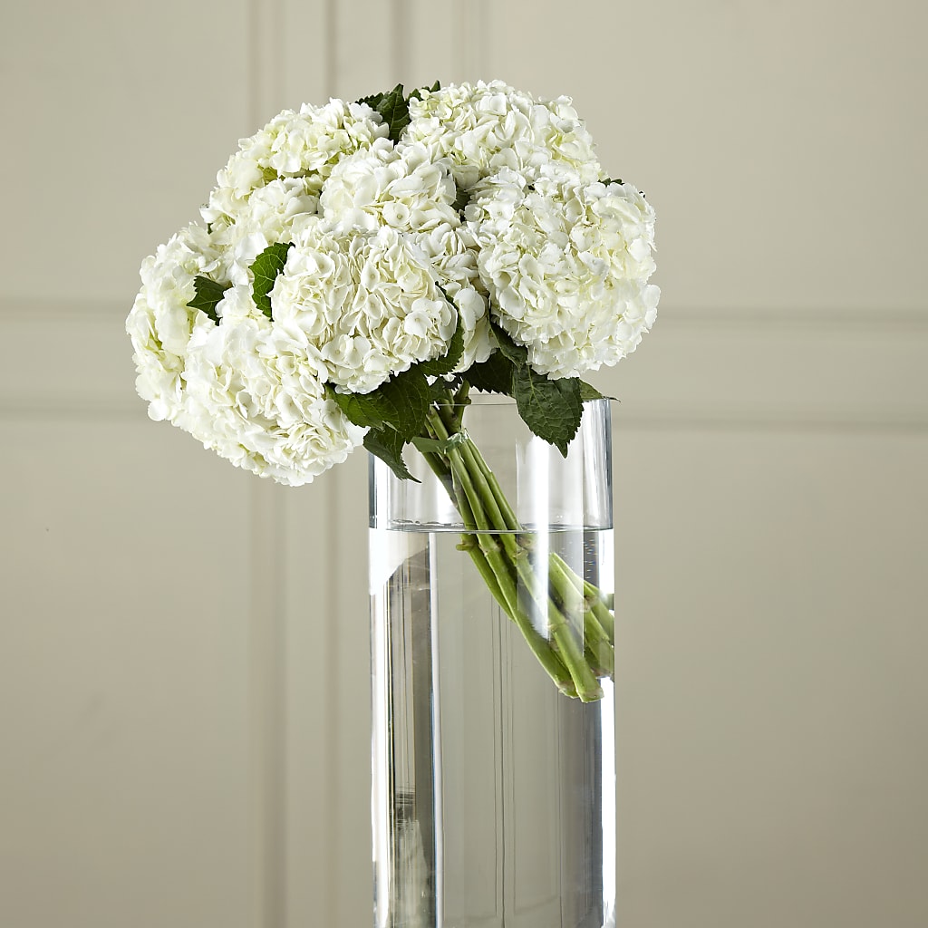 White Hydrangea Hand-Tied Bouquet – As Seasons Change Down South, Foley AL