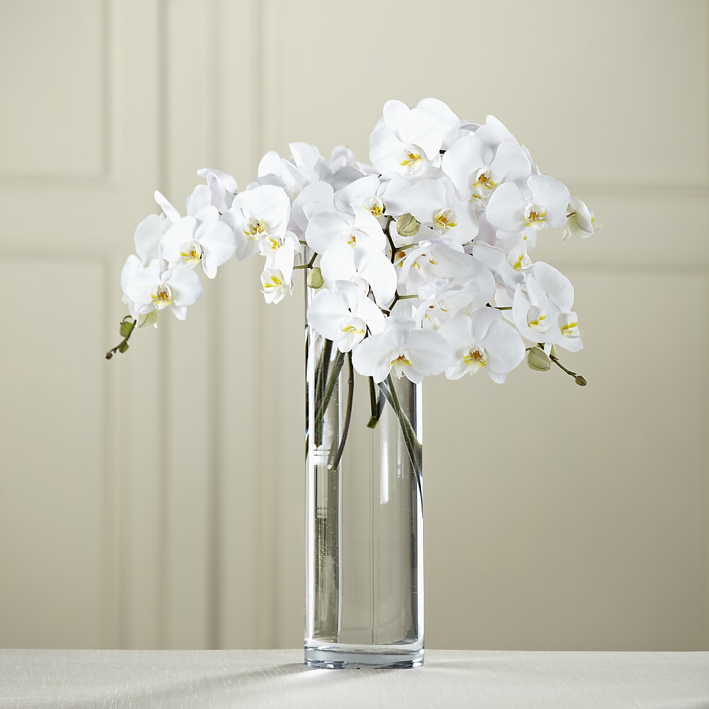 White Phalaenopsis Bouquet – As Seasons Change Down South, Foley AL