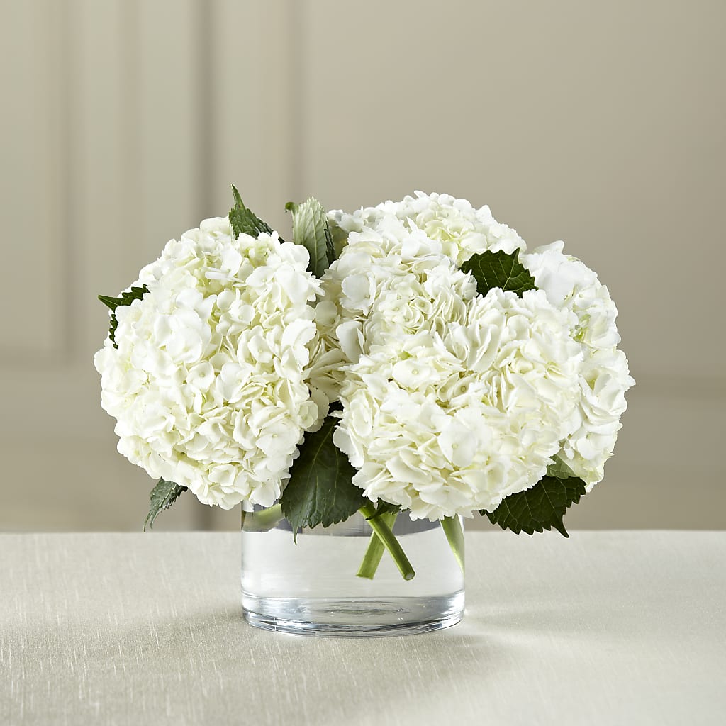 White Hydrangea Bouquet – As Seasons Change Down South, Foley AL