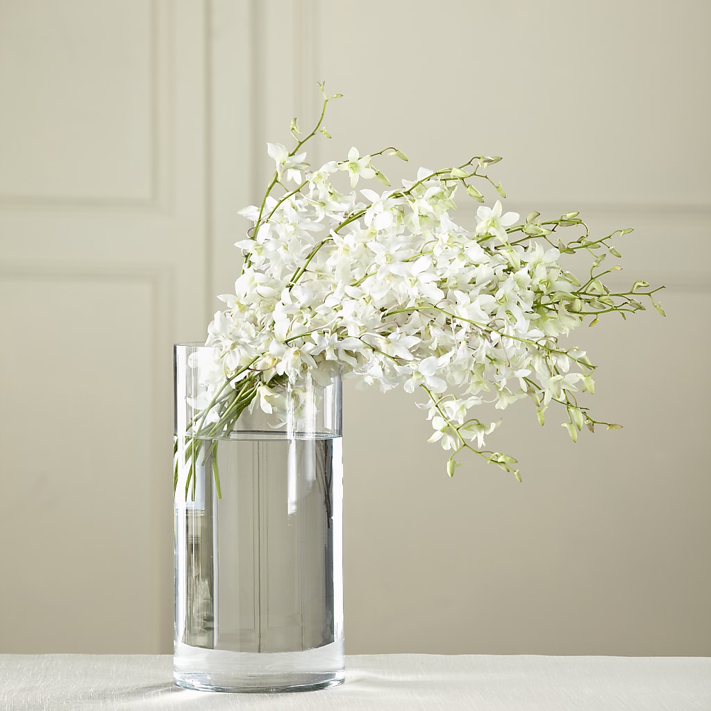 White Dendrobium Bouquet – As Seasons Change Down South, Foley AL