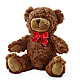 Adorable Plush Bear –  As Seasons Change Down South, Foley AL