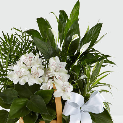 Peace & Serenity Dishgarden –  As Seasons Change Down South, Foley AL