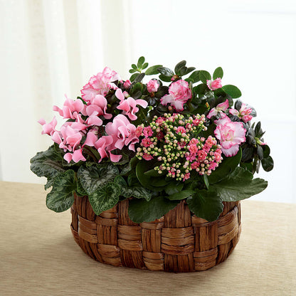 Pink Assortment –  As Seasons Change Down South, Foley AL