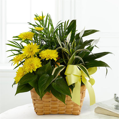Loving Light Dishgarden –  As Seasons Change Down South, Foley AL