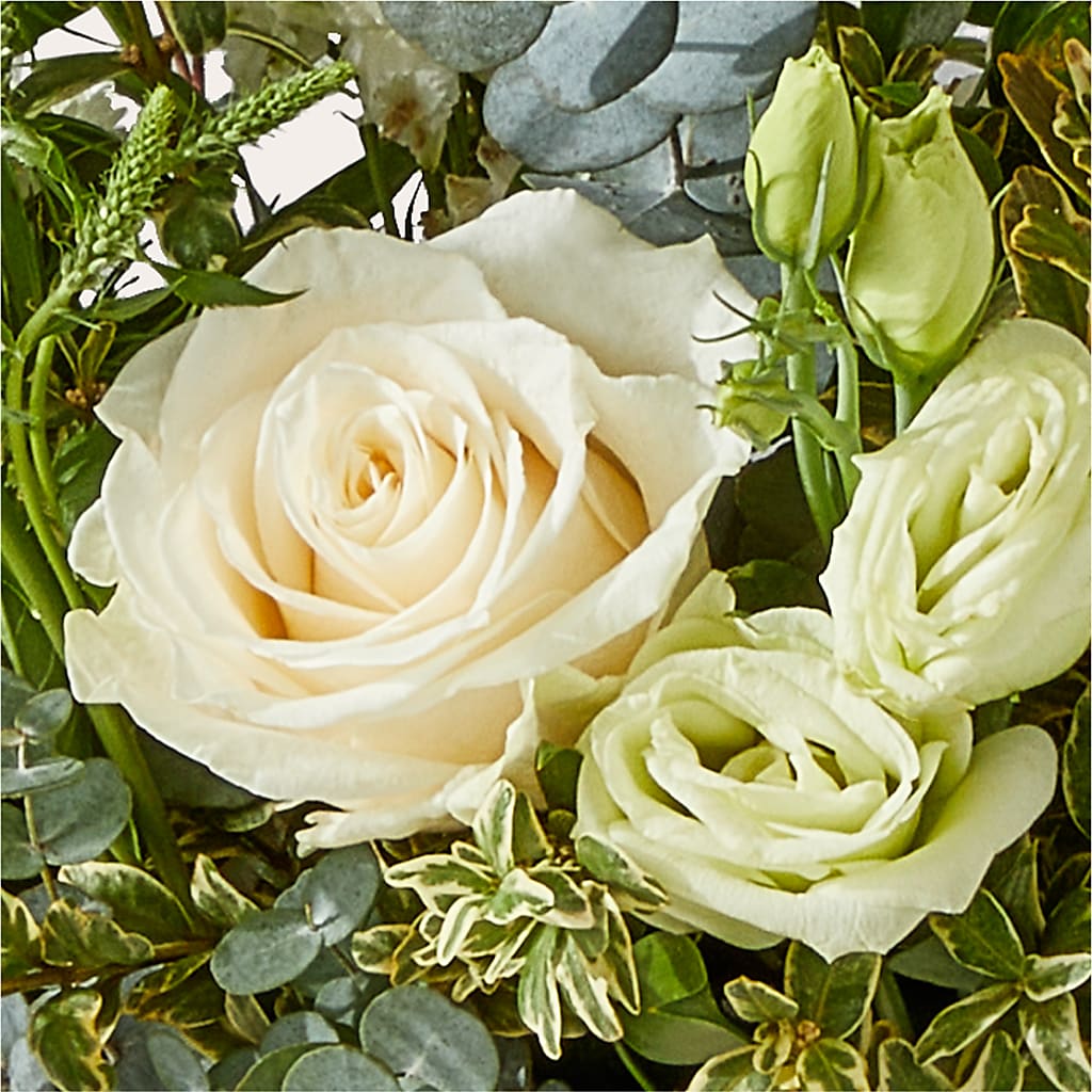 Cashmere Bouquet –  As Seasons Change Down South, Foley AL