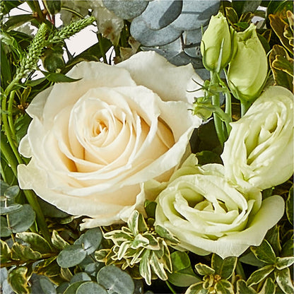 Cashmere Bouquet –  As Seasons Change Down South, Foley AL