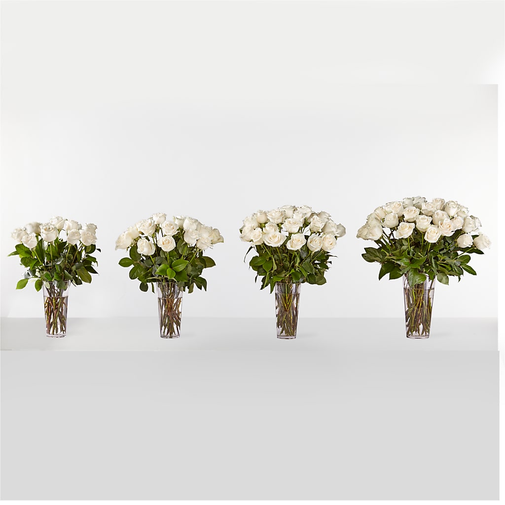 Long Stem White Rose Bouquet –  As Seasons Change Down South, Foley AL