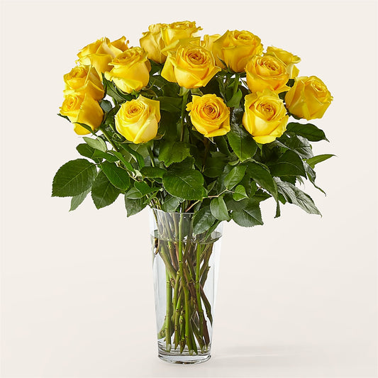 Long Stem Yellow Rose Bouquet –  As Seasons Change Down South, Foley AL