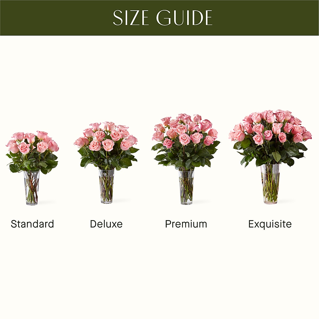 Long Stem Pink Rose Bouquet –  As Seasons Change Down South, Foley AL
