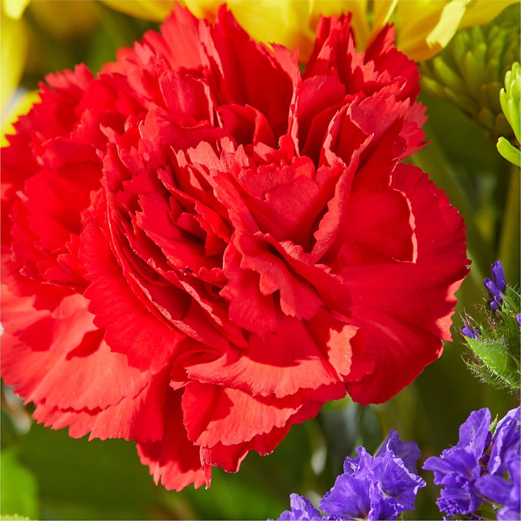 Brighter Days Bouquet –  As Seasons Change Down South, Foley AL