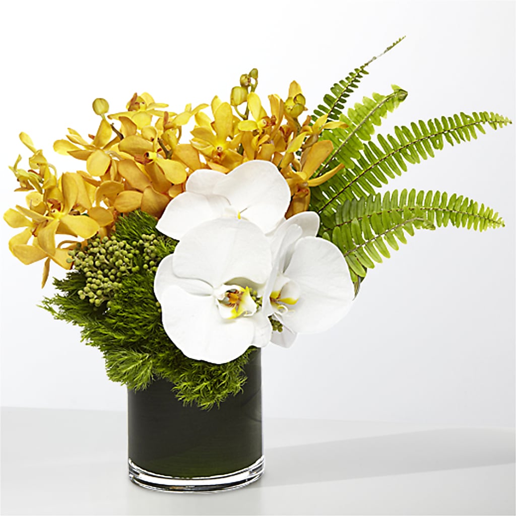 The Tropics –  As Seasons Change Down South, Foley AL