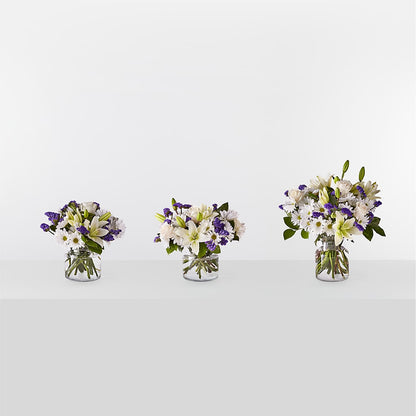 Beyond Blue Bouquet –  As Seasons Change Down South, Foley AL