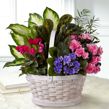 Peaceful Garden Planter –  As Seasons Change Down South, Foley AL