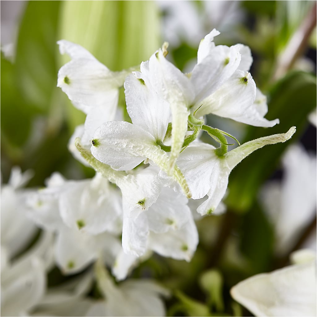 Classic Ivory – A Florist Original –  As Seasons Change Down South, Foley AL