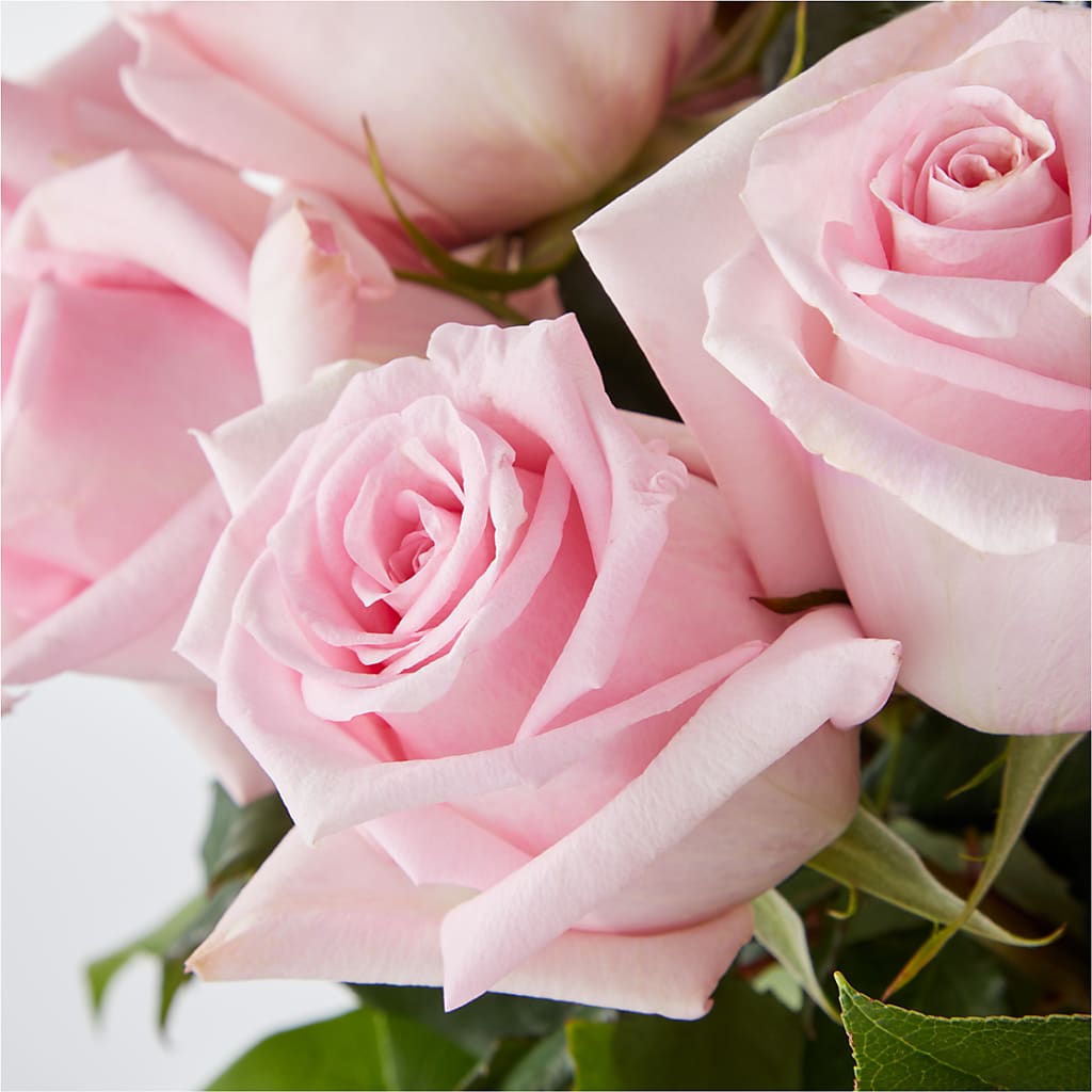 Picture Perfect Pink Rose Bouquet –  As Seasons Change Down South, Foley AL