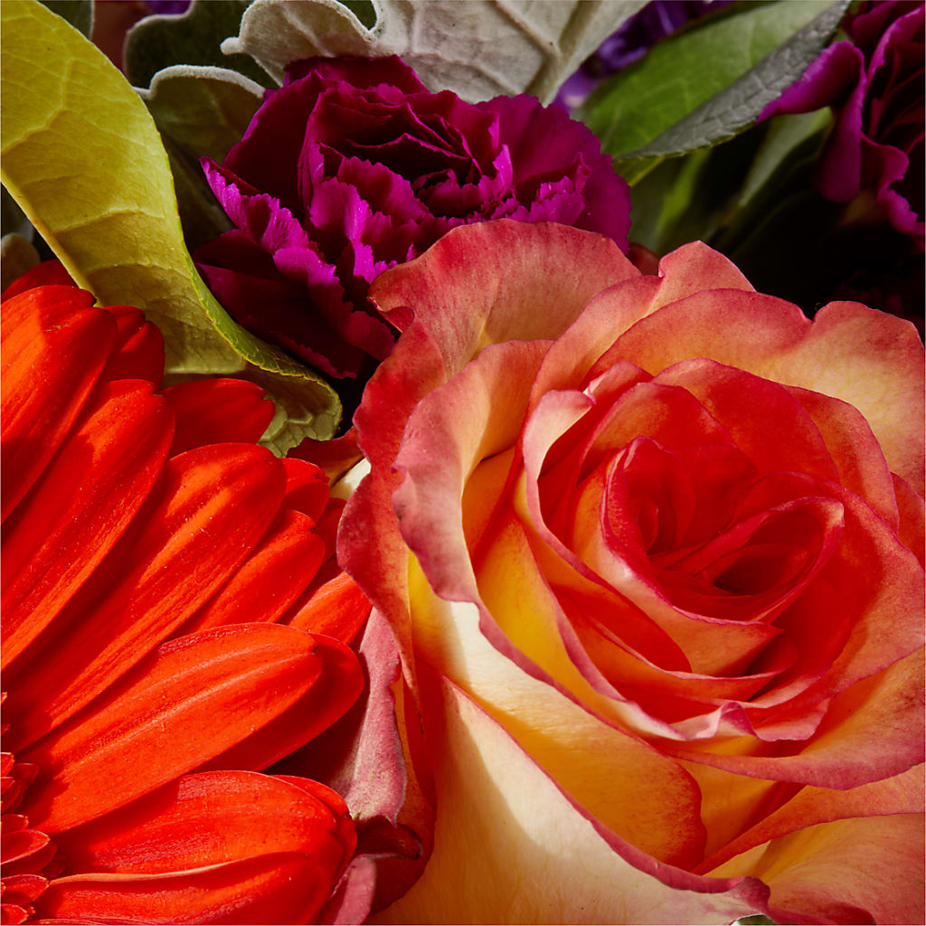 Sangria Bouquet –  As Seasons Change Down South, Foley AL