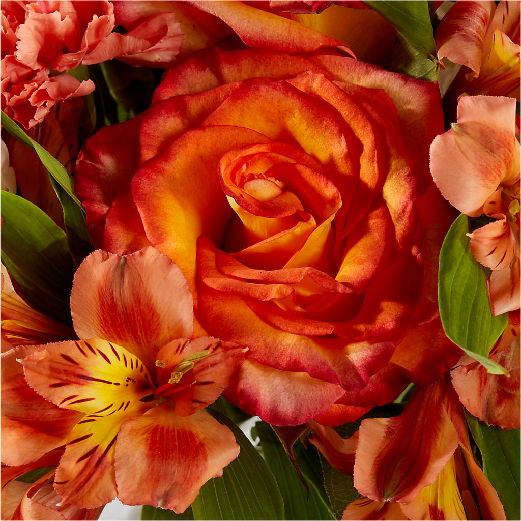 Apricot Glow Bouquet –  As Seasons Change Down South, Foley AL