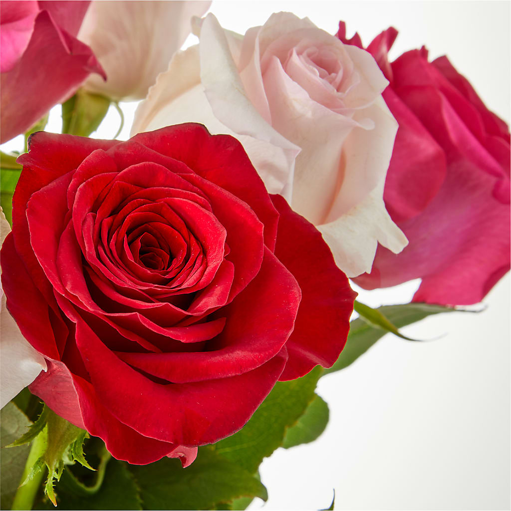 Charming Rose Bouquet –  As Seasons Change Down South, Foley AL