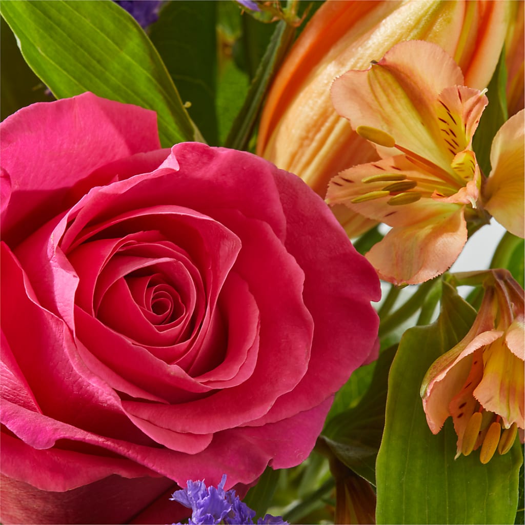 Joyful Bouquet –  As Seasons Change Down South, Foley AL
