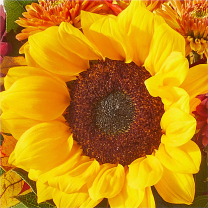 Sunny Side Bouquet –  As Seasons Change Down South, Foley AL
