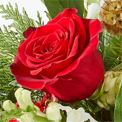 Deck the Halls Bouquet –  As Seasons Change Down South, Foley AL