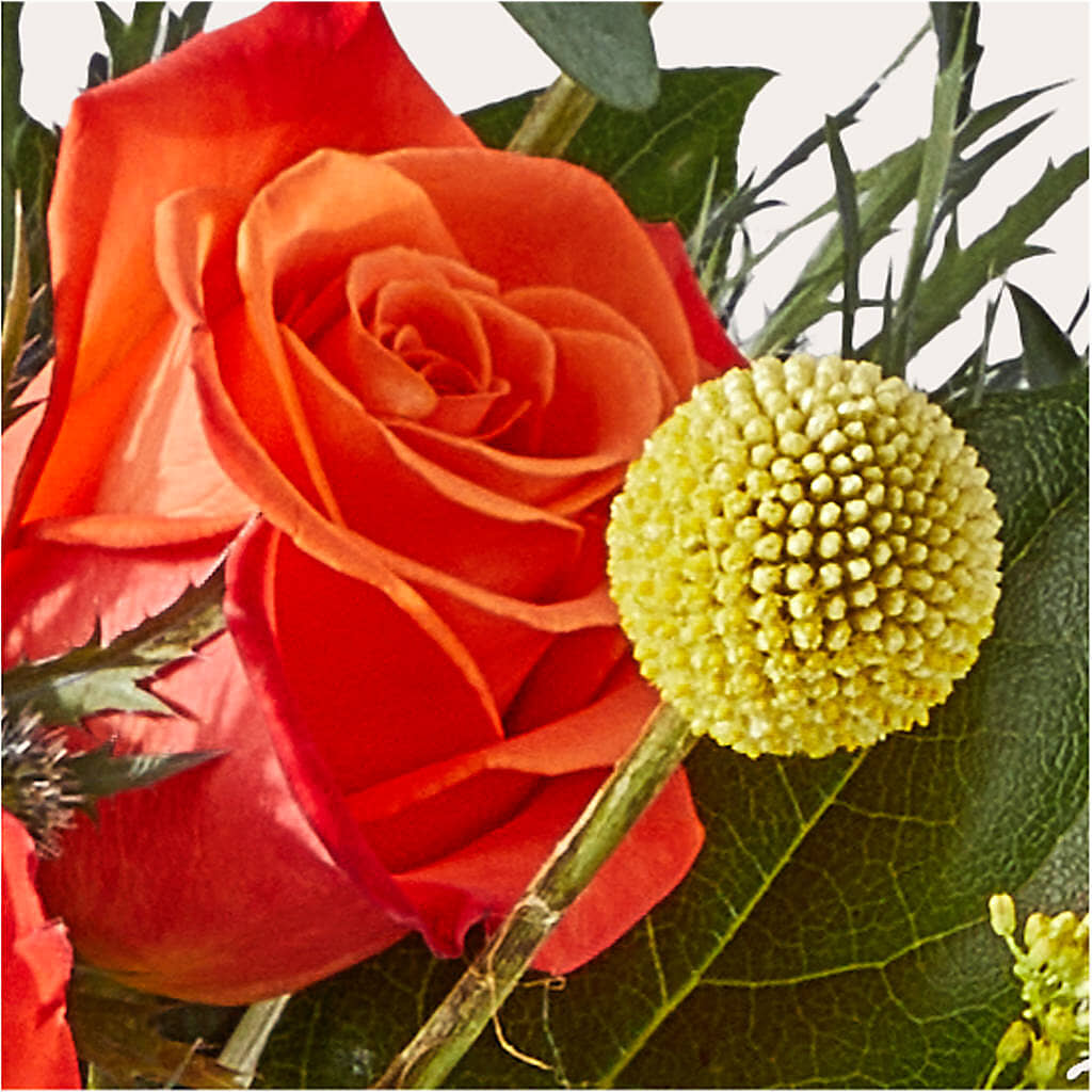 Disco Bouquet –  As Seasons Change Down South, Foley AL
