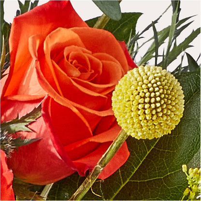Disco Bouquet –  As Seasons Change Down South, Foley AL