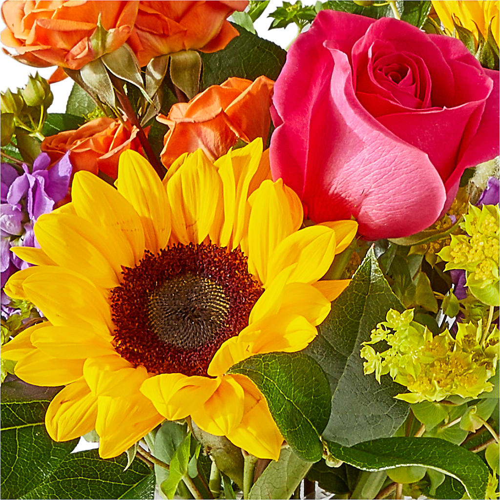 Vibrant Greetings Bouquet –  As Seasons Change Down South, Foley AL