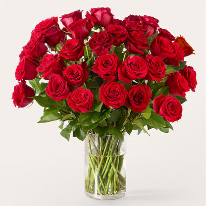 The One Red Rose Bouquet –  As Seasons Change Down South, Foley AL