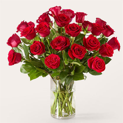 The One Red Rose Bouquet –  As Seasons Change Down South, Foley AL