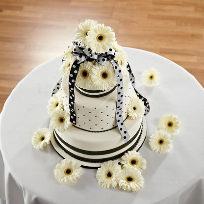 Simple Sophistication Cake Décor –  As Seasons Change Down South, Foley AL