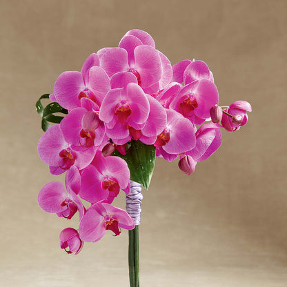 Glorious Bouquet –  As Seasons Change Down South, Foley AL