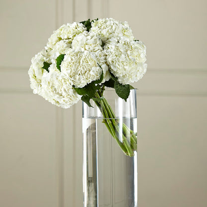 White Hydrangea Hand-Tied Bouquet –  As Seasons Change Down South, Foley AL