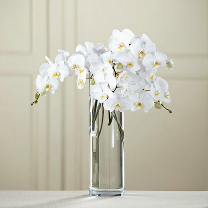 White Phalaenopsis Bouquet –  As Seasons Change Down South, Foley AL